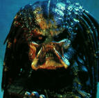 yautja / predator