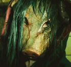 amanda young